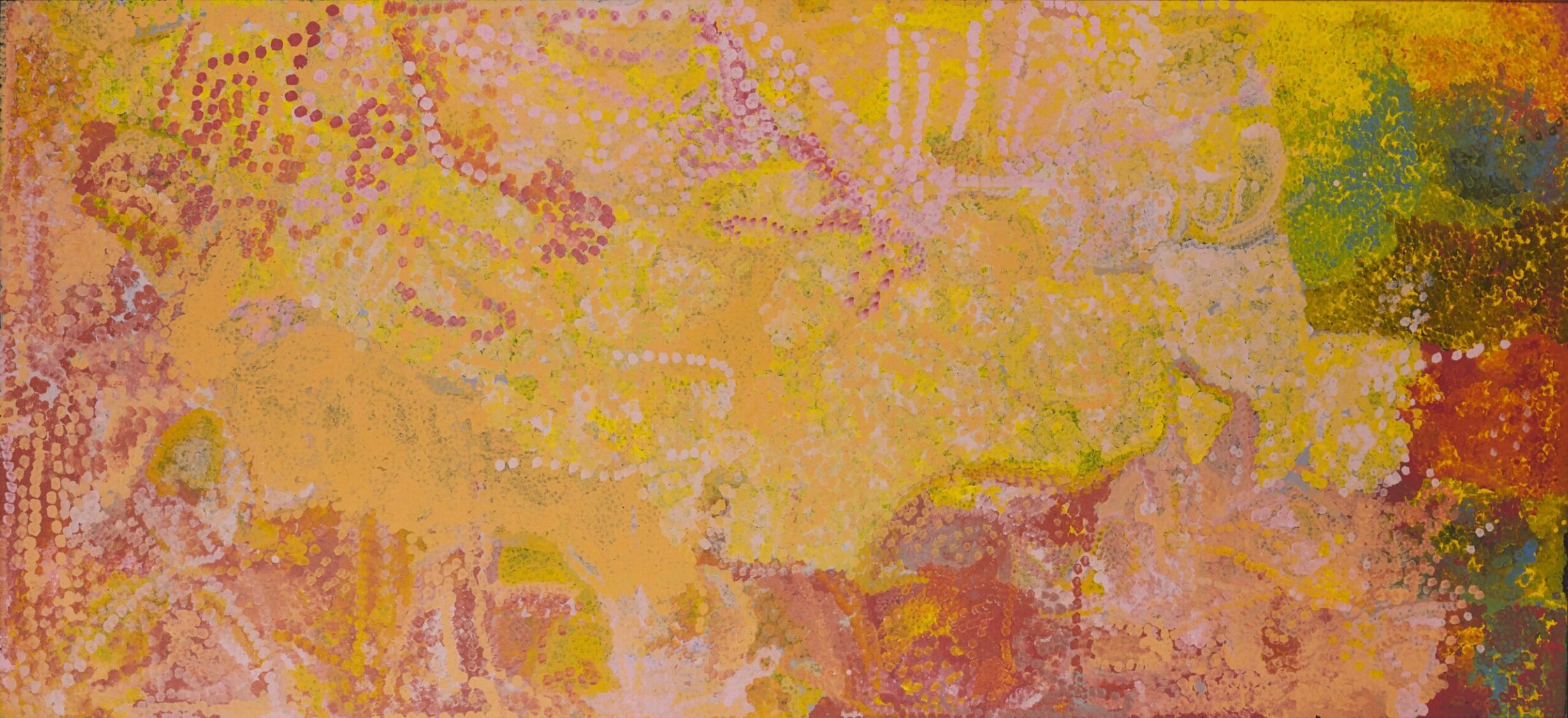 Emily Kam Kngwarray: My Country