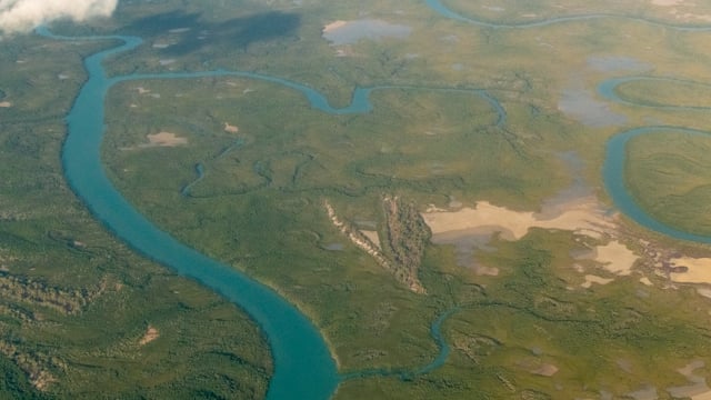 Luke Scholes + Vanessa Merlino Discuss New Collaboration With Timothy Cook + Jilamara Arts