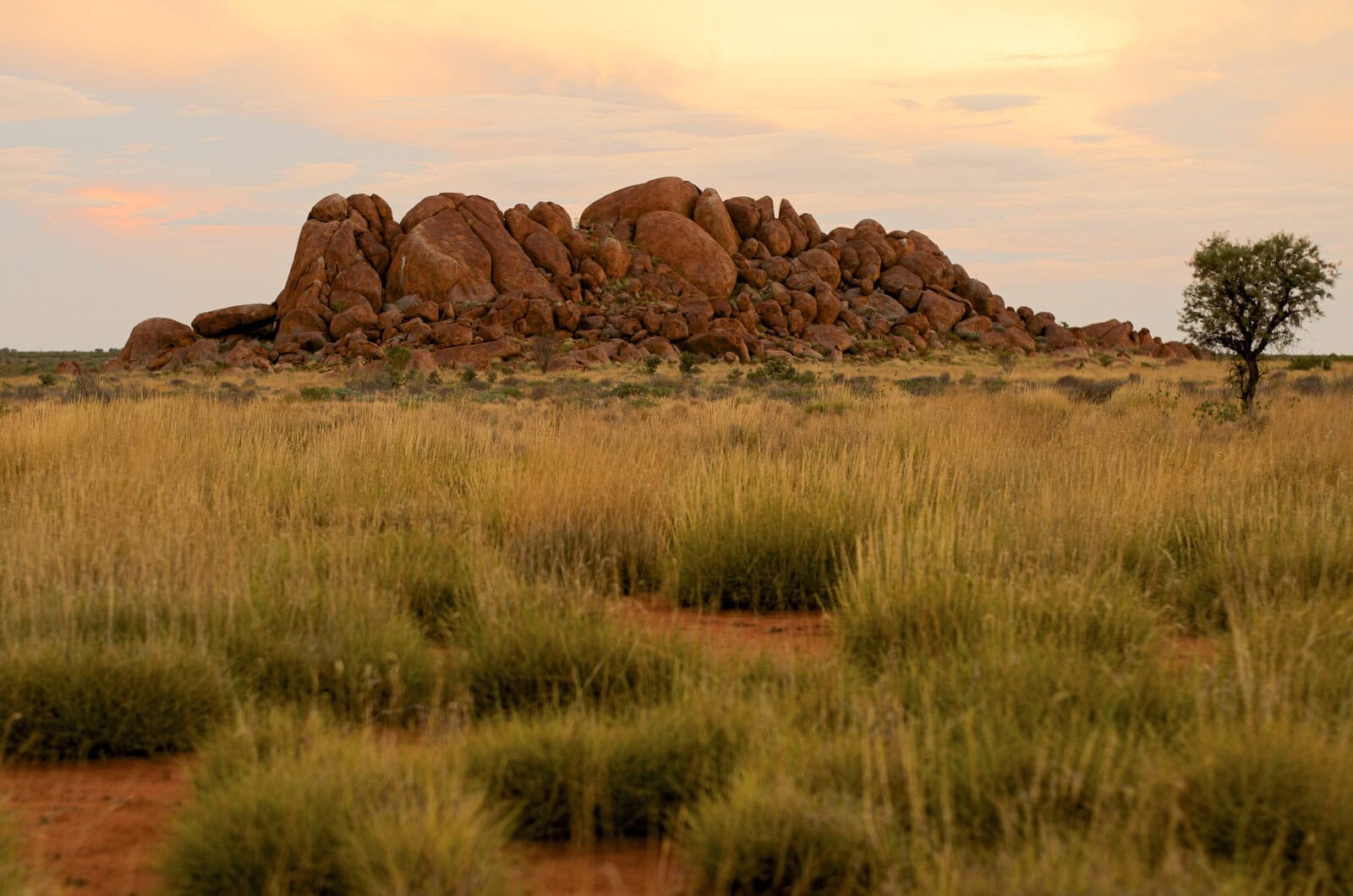 Makinti Napanangka X Naata Nungurrayi